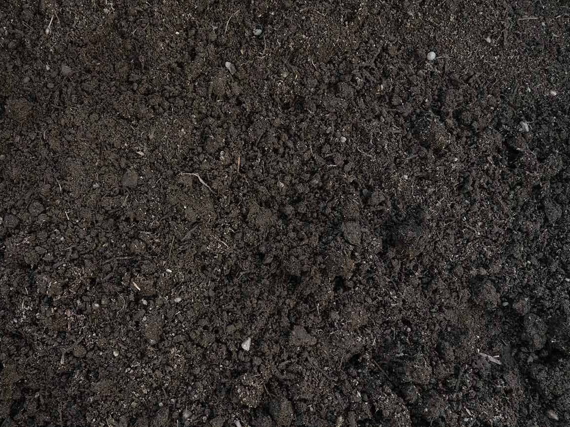 Topsoil C Lawn Mix Screened blend of sandy loam & compost for lawns