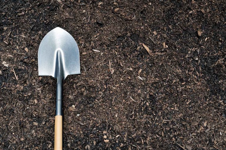 Dark Medium/Fine Bark Sunland Bark and Topsoil