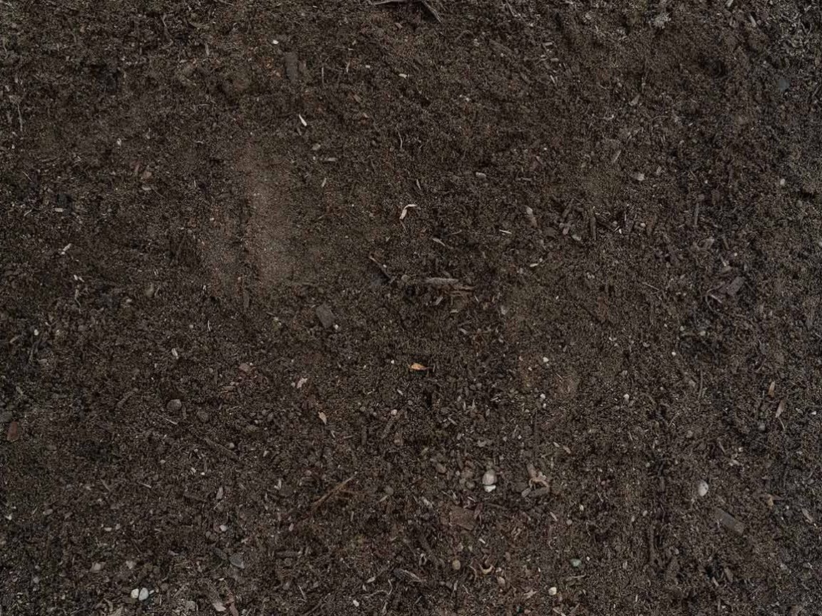 Topsoil and Soil Blends Sunland Bark and Topsoil