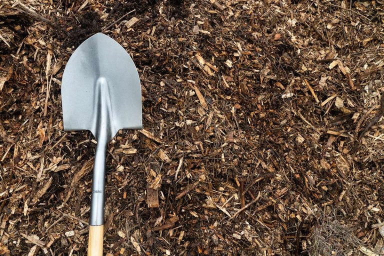 Arborist wood chips, Great for weed control and moisture retention